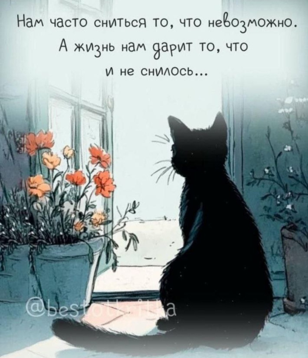 С просторов интернета