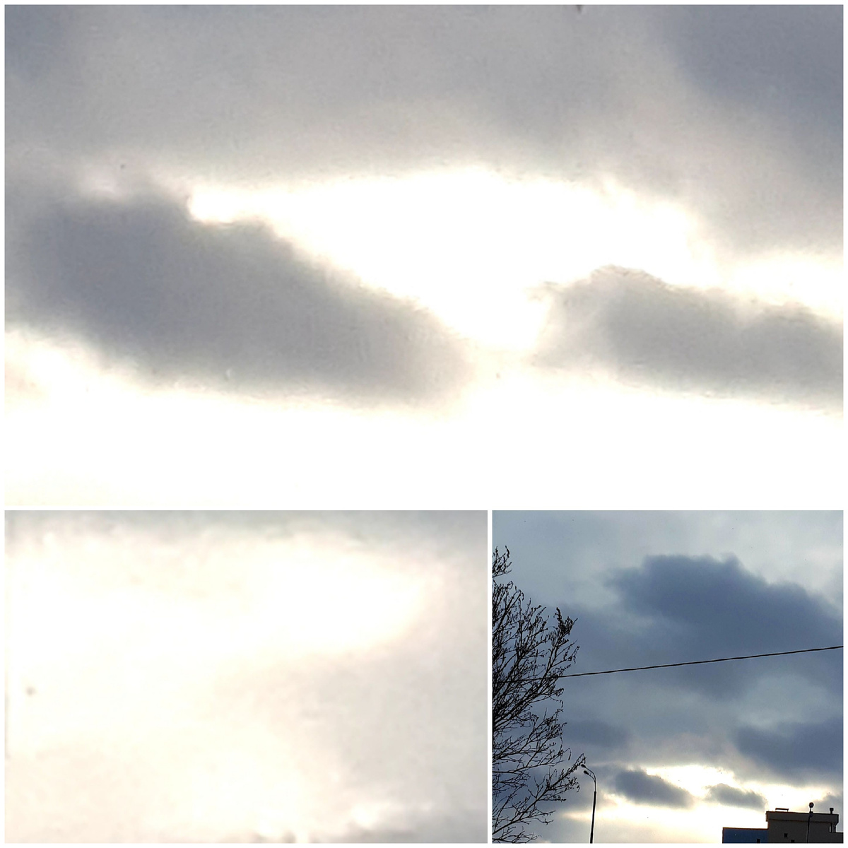 Коллаж автора 15.02.2026г.