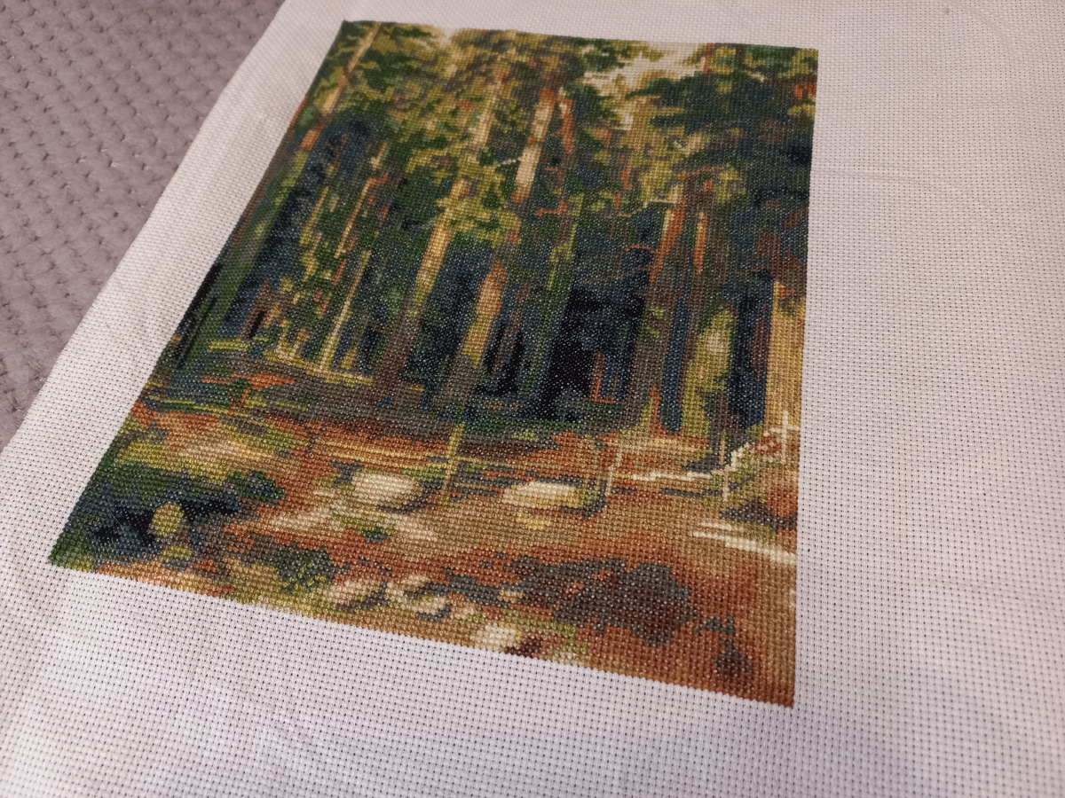 Фото от 10.02.2026. Фрагмент вышивки набора от фирмы Панна ВХ-0845 "Корабельная роща"