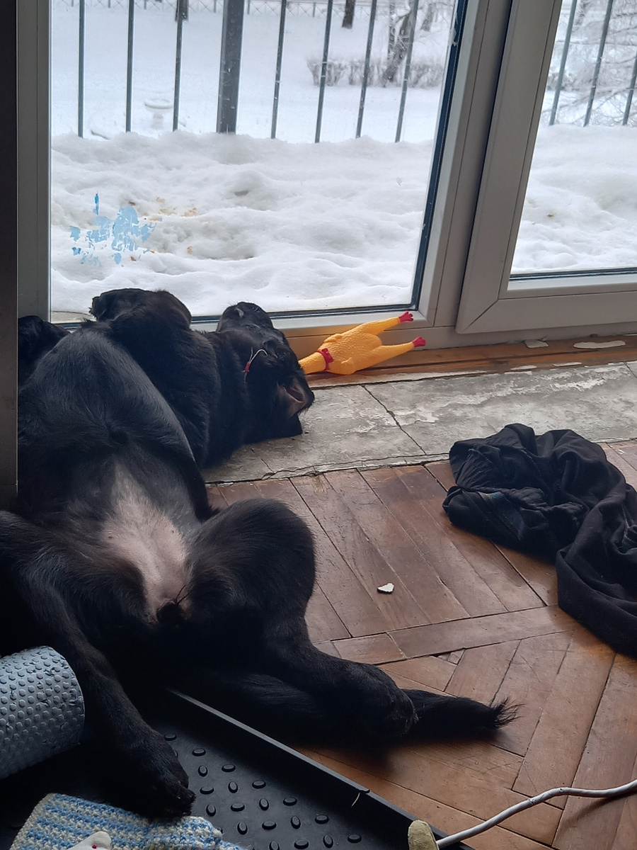 5минут тишины