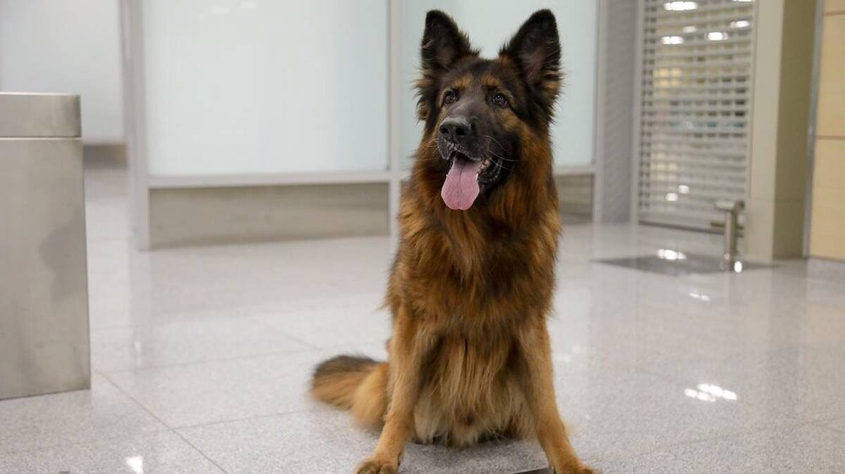    Фото: Артур Новосильцев / АГН «Москва»