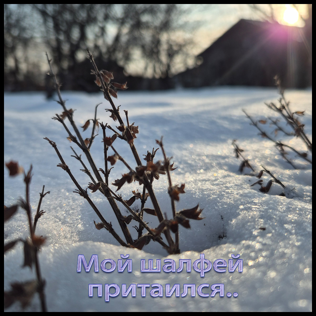 Красота момента 