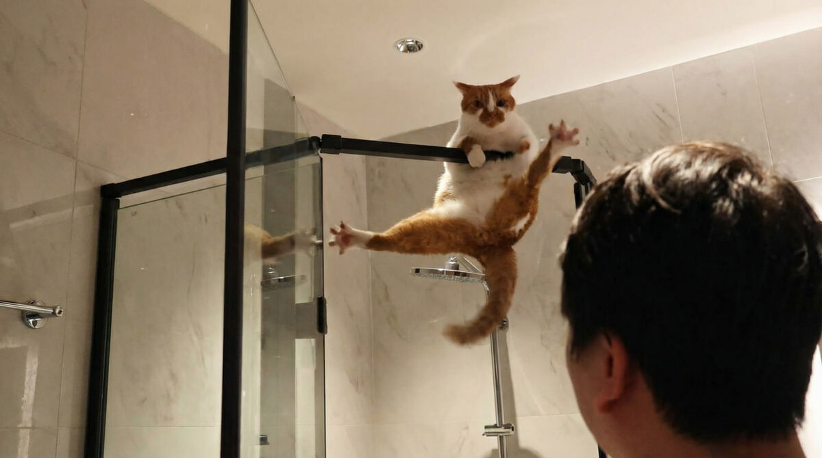 Когда хотел поразить хозяина ловкостью, но поразил только растяжкой