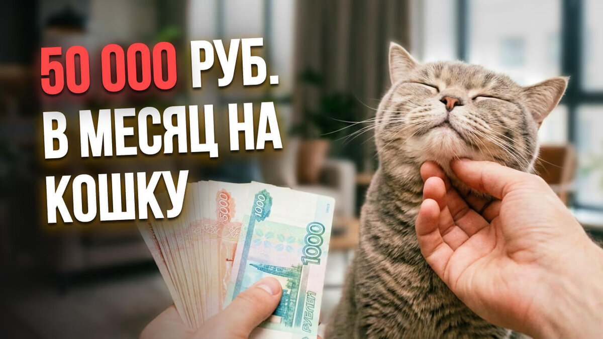 Я даже на себя столько не трачу 😢