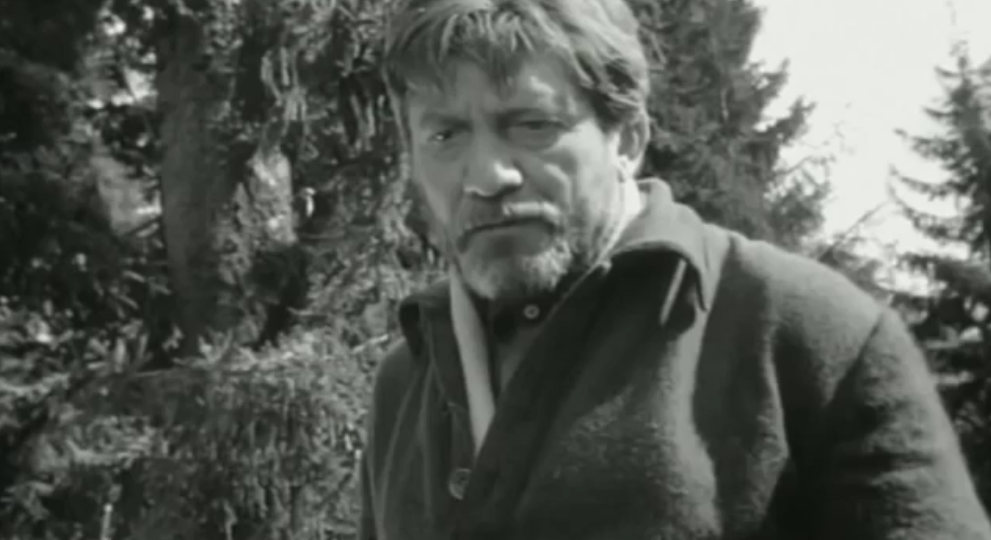 "Суд" (1962): пошли на медведя, а пострадал человек. И кто виноват?