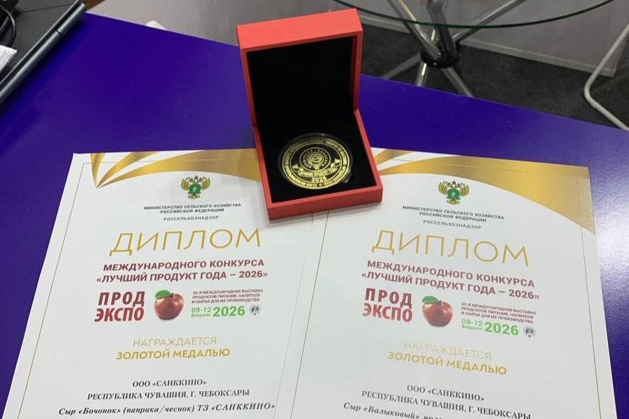    Фото: правительство Республики Чувашия, источник: cheb-news.net