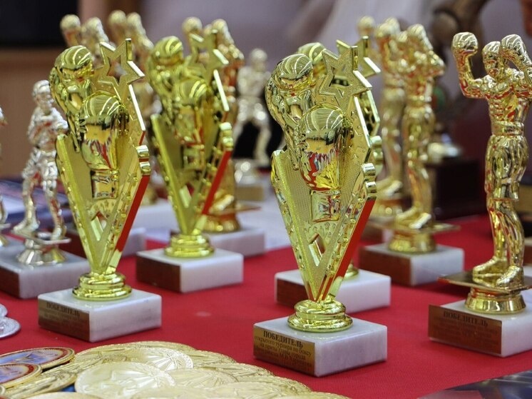     Источник: Официальный ТГ-канал администрации Мичуринска