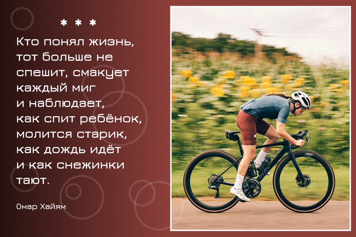 Изображение взято из Интернет источников, дополнено мною.