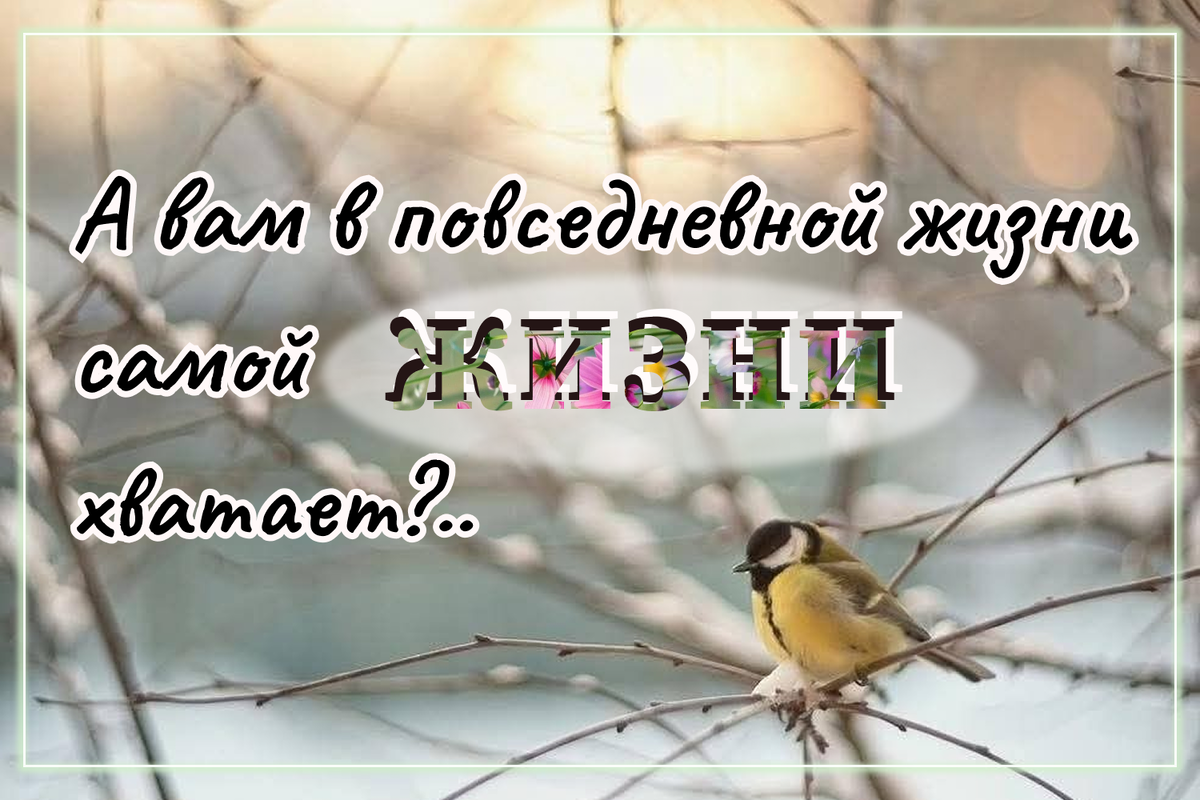 Изображение взято из Интернет источников, дополнено мною.