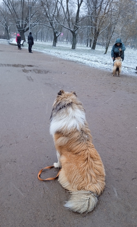 Фото из личного архива