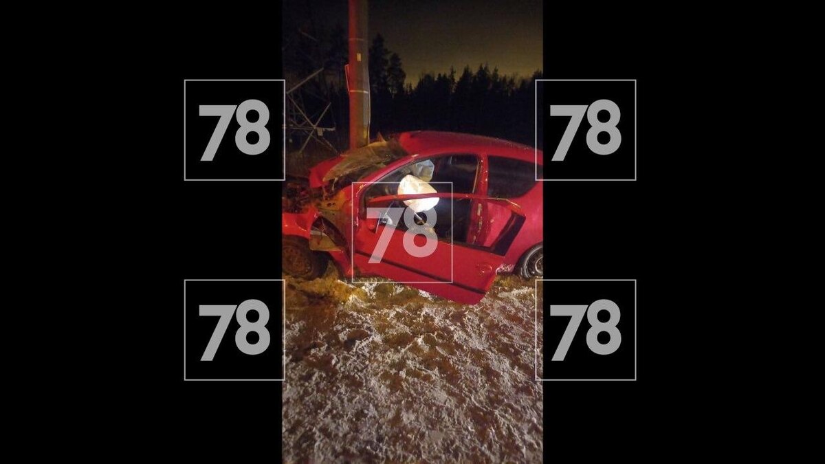    Фото: 78.ru