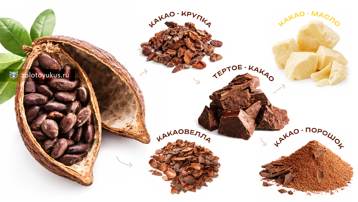 формы какао