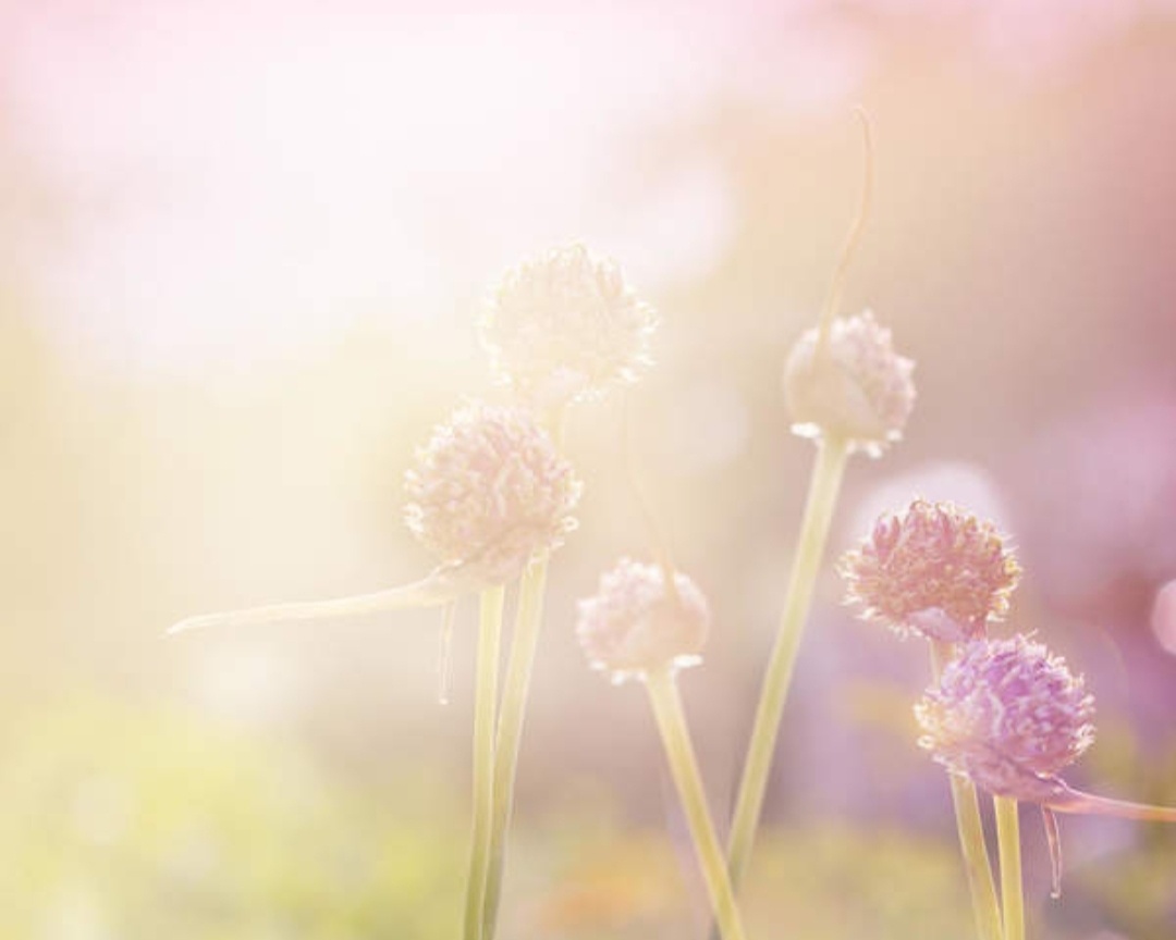 Гугл картинки. 