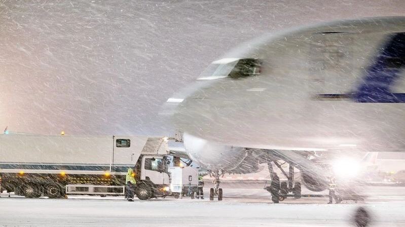    Фото: Vereshchagin Dmitry/Shutterstock/Fotodom