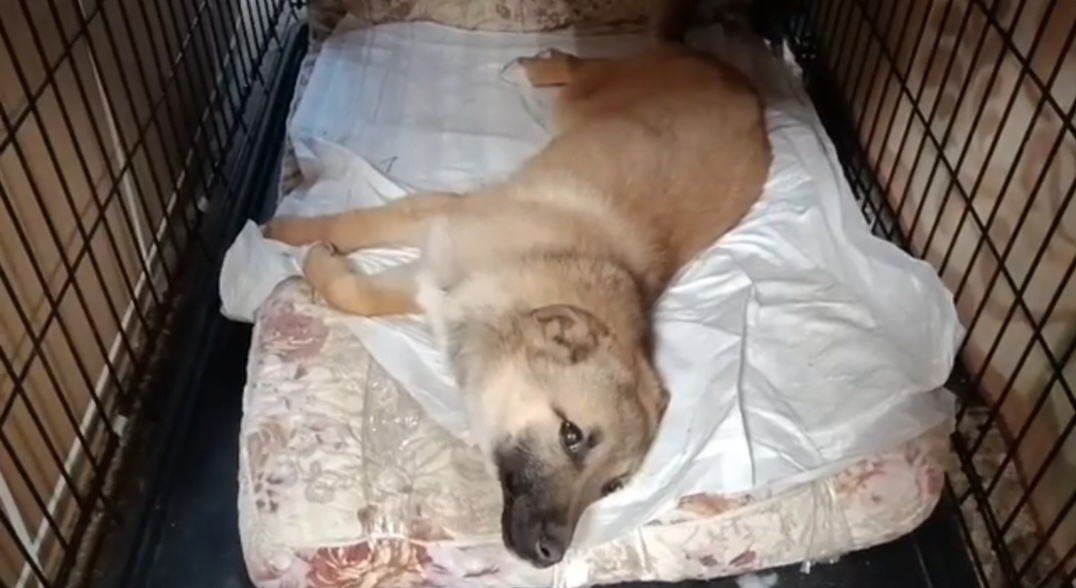 Первый день.