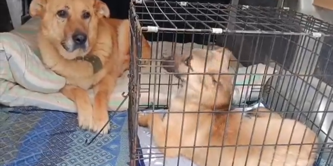 Машенька из пятницы 13го