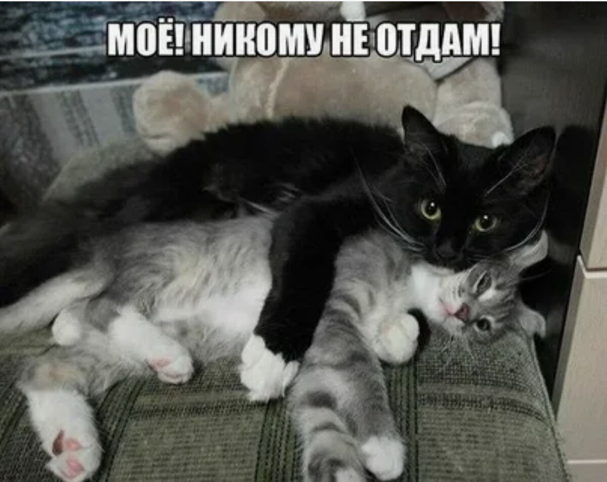 источник Яндекс-картинки