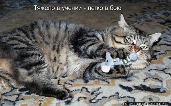 источник Яндекс-картинки