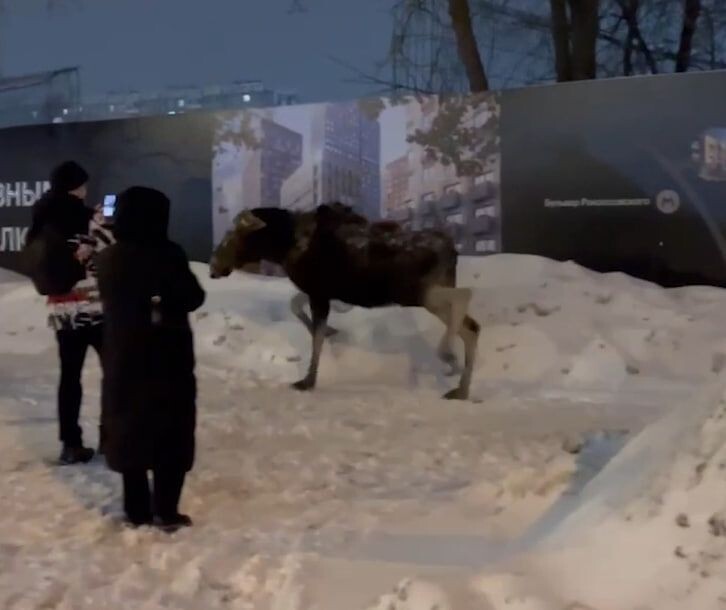     / Источник: © Кадр из видео