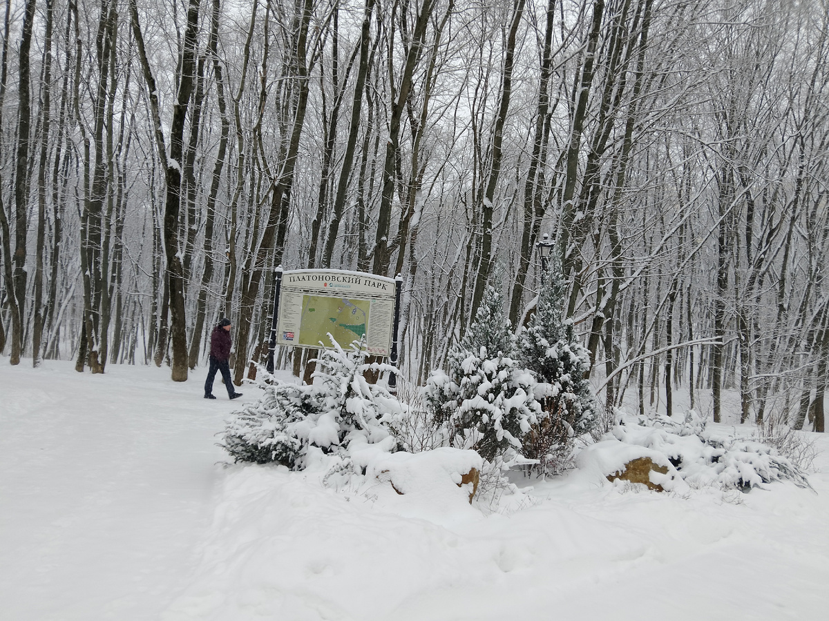 Это сейчас. Можно представлять, что это чёрно-белая фотография, если бы не стенд с планом парка