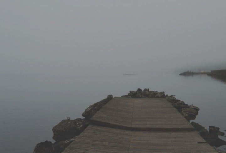 фото: pxhere.com