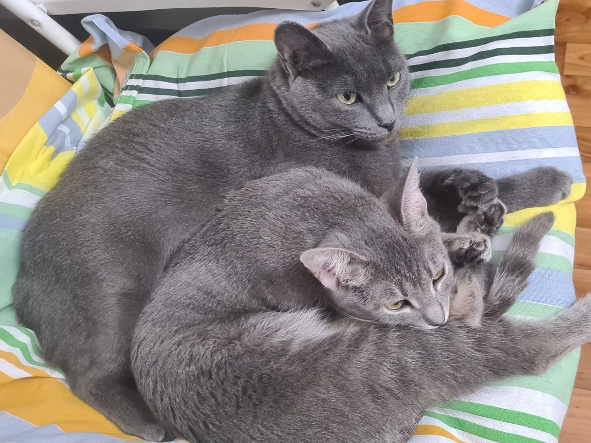 Любава и Глаша