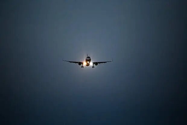    Фото: lenta.ru Евгения Суворова