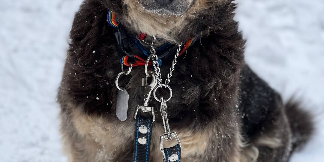 Как вернуть Ладу к базовым настройкам. Автомеханикам не звонить