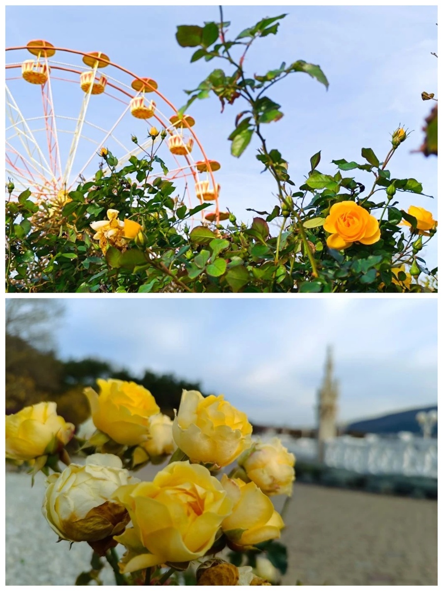 В итоге 2025 год подарил нам две осени и две зимы.