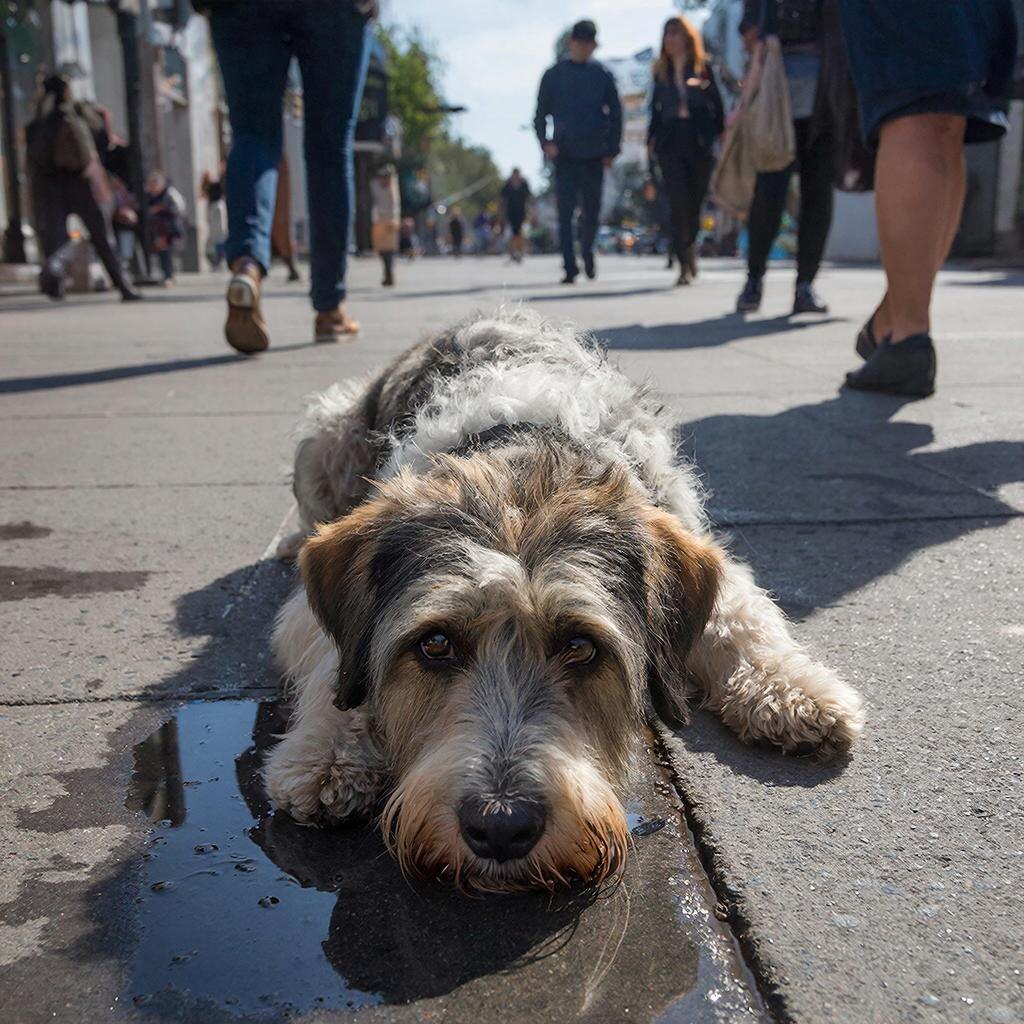 - Не бойтесь меня!