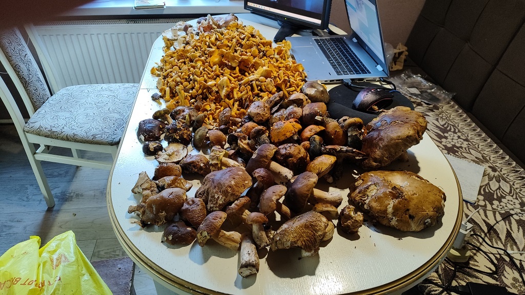 В прошлом году тоже грибочков не мало насобирала