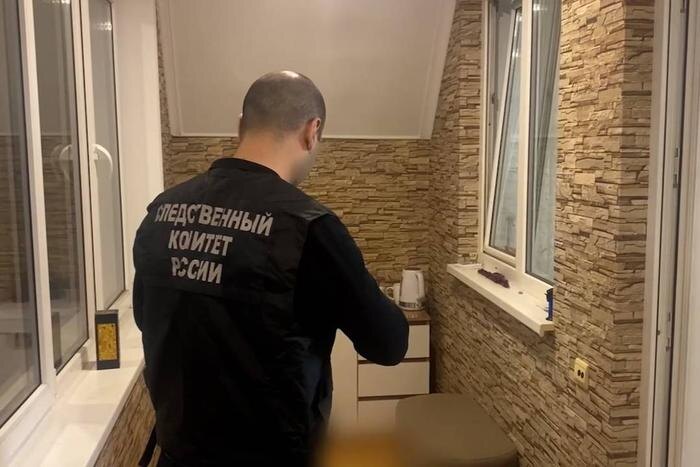 Обложка © Telegram / СУ СК России по РСО-Алания | официальный канал