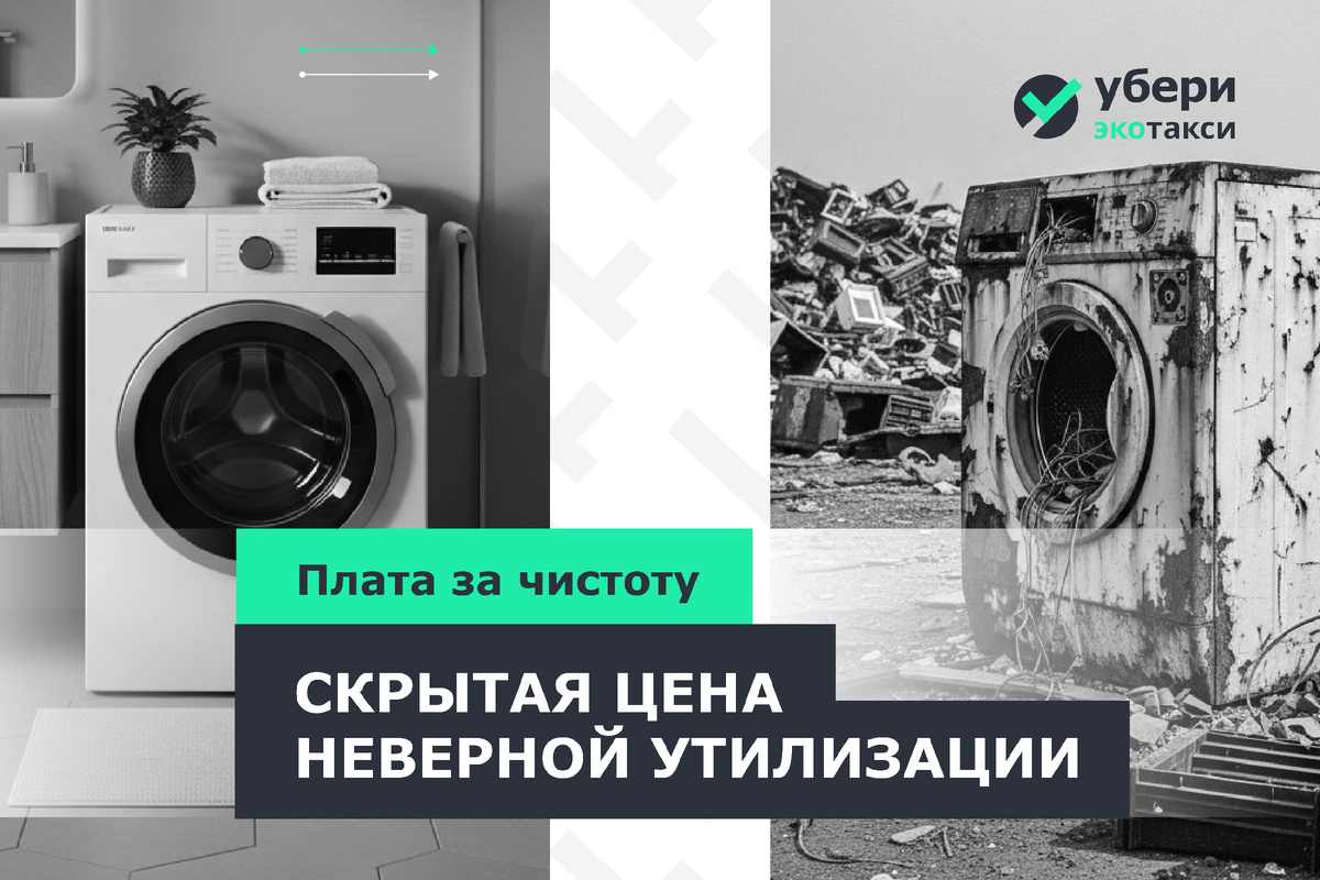 Опасный помощник: экологическая расплата за выброшенную стиральную машину 