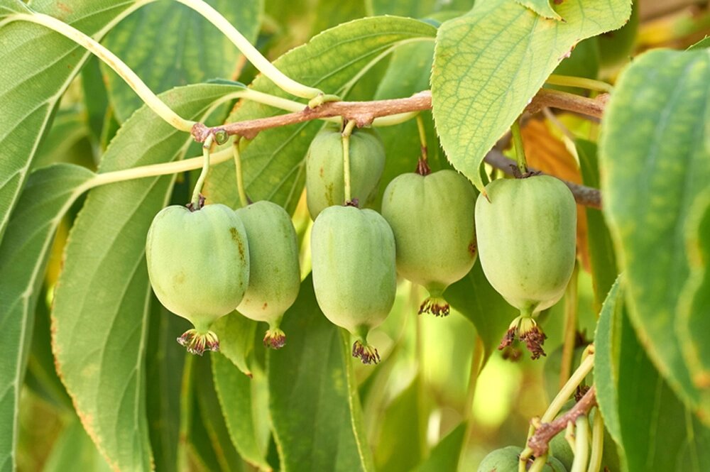    Фото: istockphoto.com