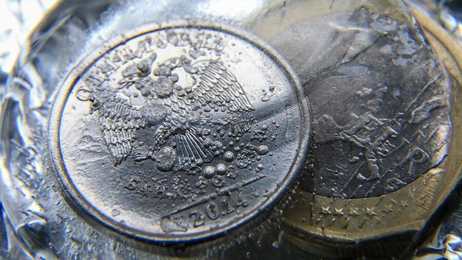    Фото: ИЗВЕСТИЯ/Сергей Коньков