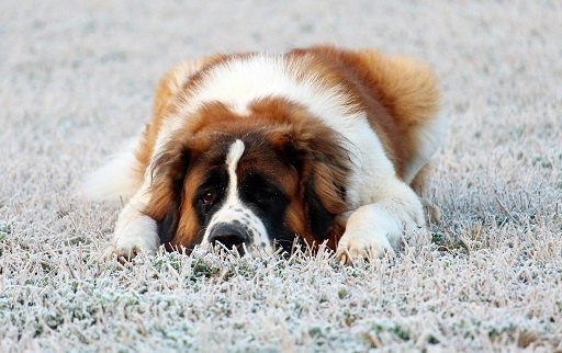 Фотограф: Katerina: https://www.pexels.com/ru-ru/photo/6072009/