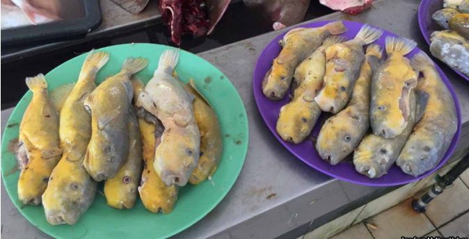 Смертельная жаренная рыба по 200 рублей за штучку