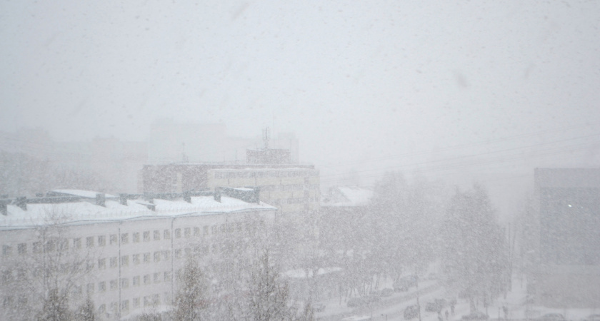    Автор: Вячеслав Вольгин