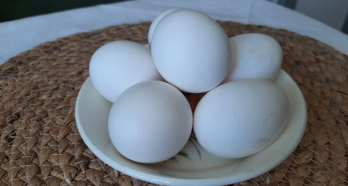    Фото: ПроГород