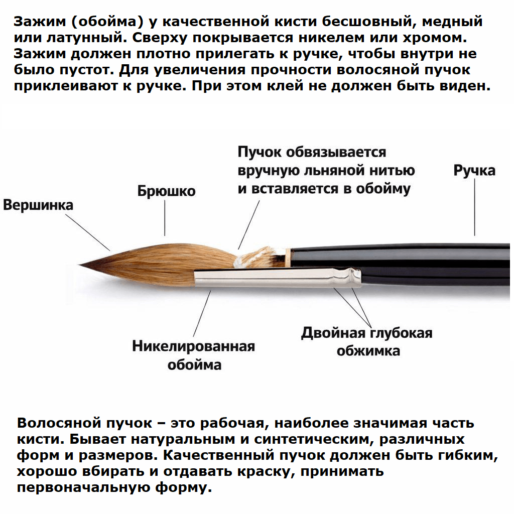 Как устроена кисть.
