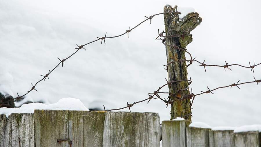 Эксперт призвал провести реальную инвентаризацию скотомогильников