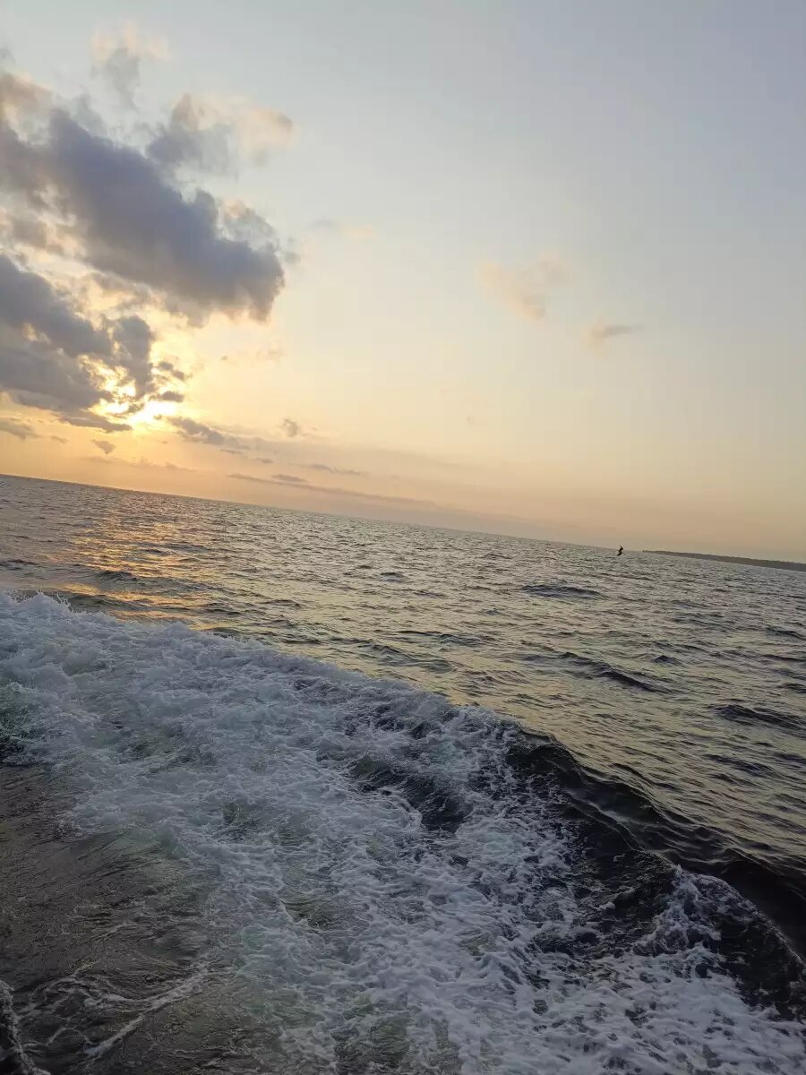    Обложка истории