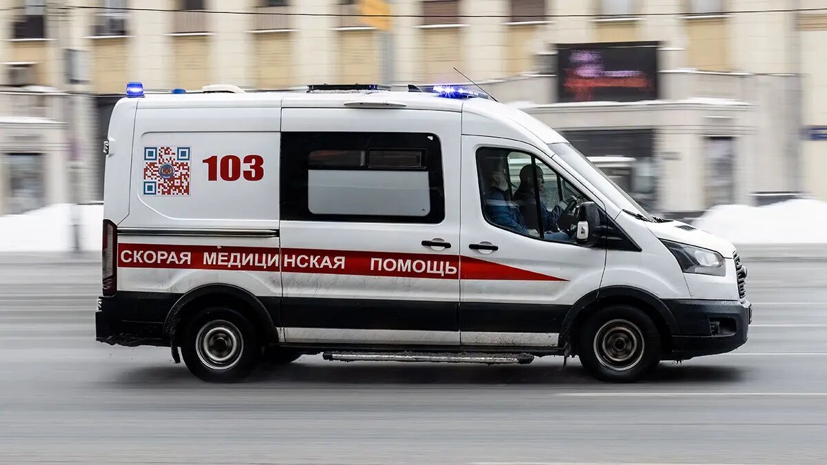    Фото: vm.ru Ольга Селиванова