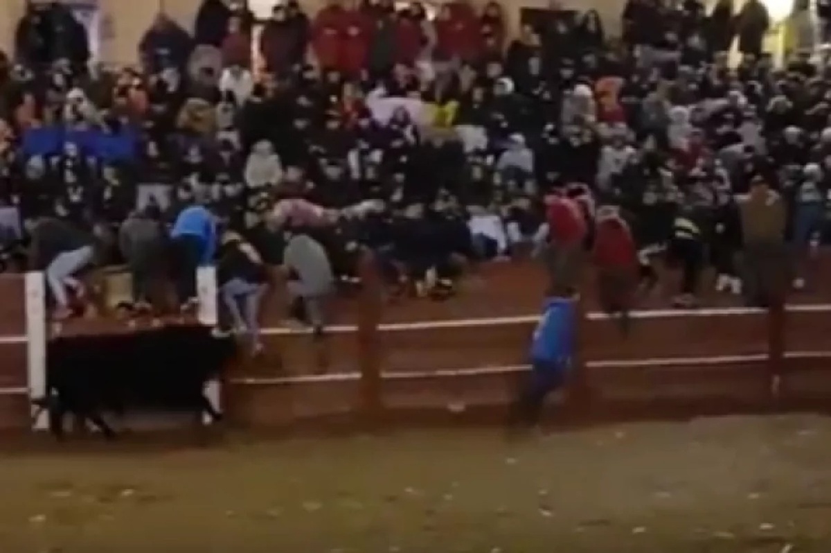    Фото: скриншот видео, источник соцсети