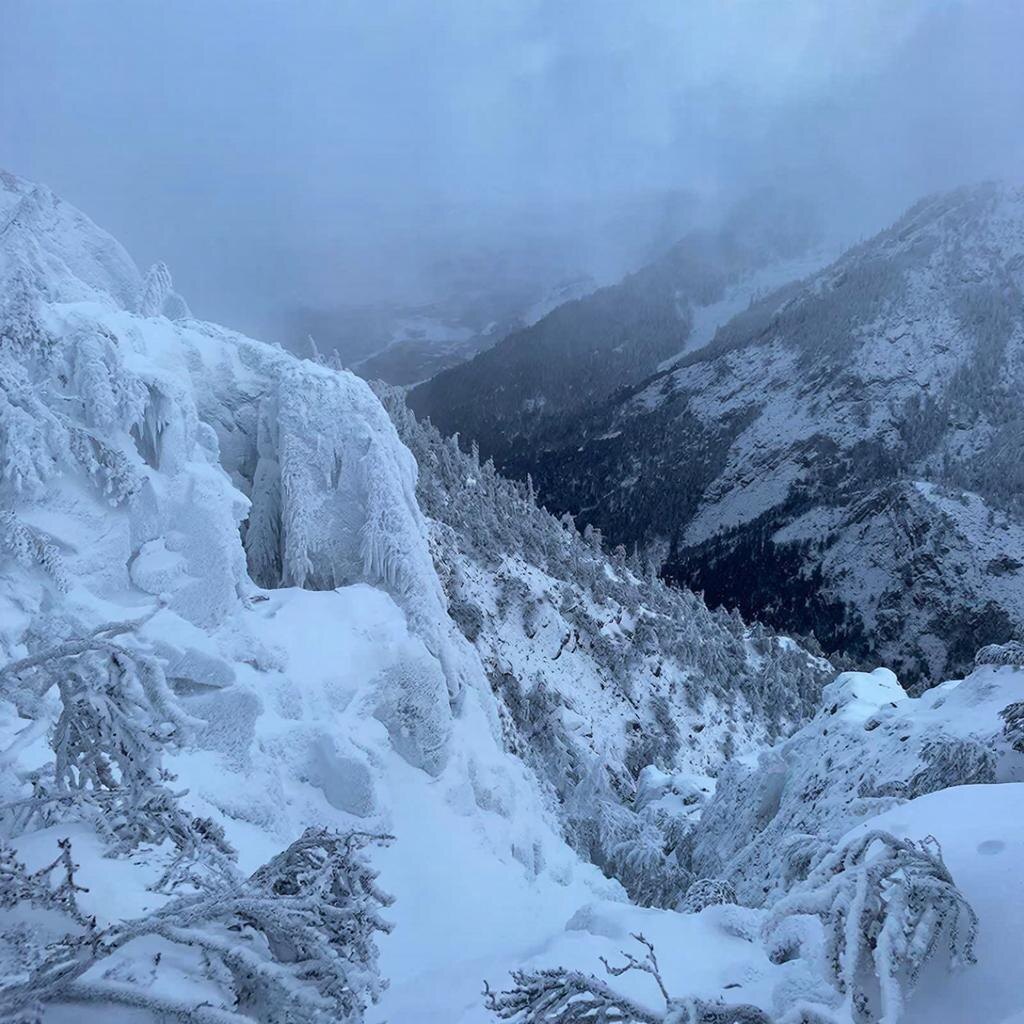 Некоторые видят в произошедшем мистическую составляющую.  Фото: Изображение сгенерировано нейросетью / Станислав Казаченко
