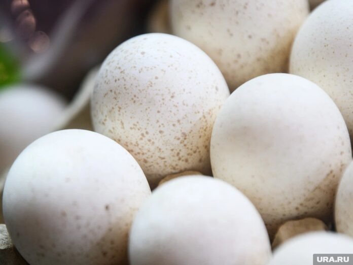    Актуальные тренды в птицеводстве и геополитические стратегии на 2028 год