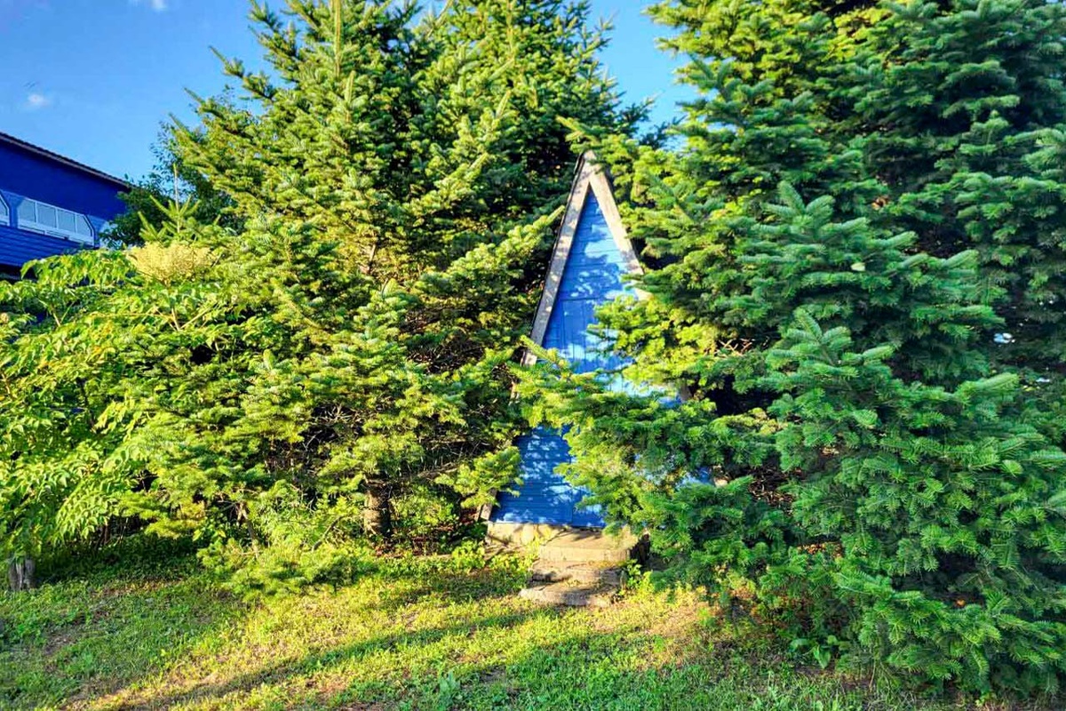 Верховный суд РФ окончательно изъял «Лесную поляну» у частников.  Фото: Фото: ФедералПресс / Анна Миронова