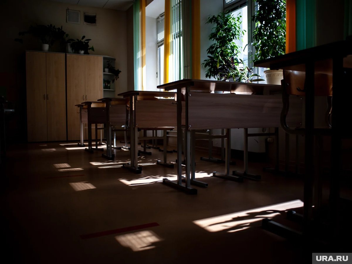    В школьный предмет «индивидуальный проект» добавят программу «Обучение служением. Первые»