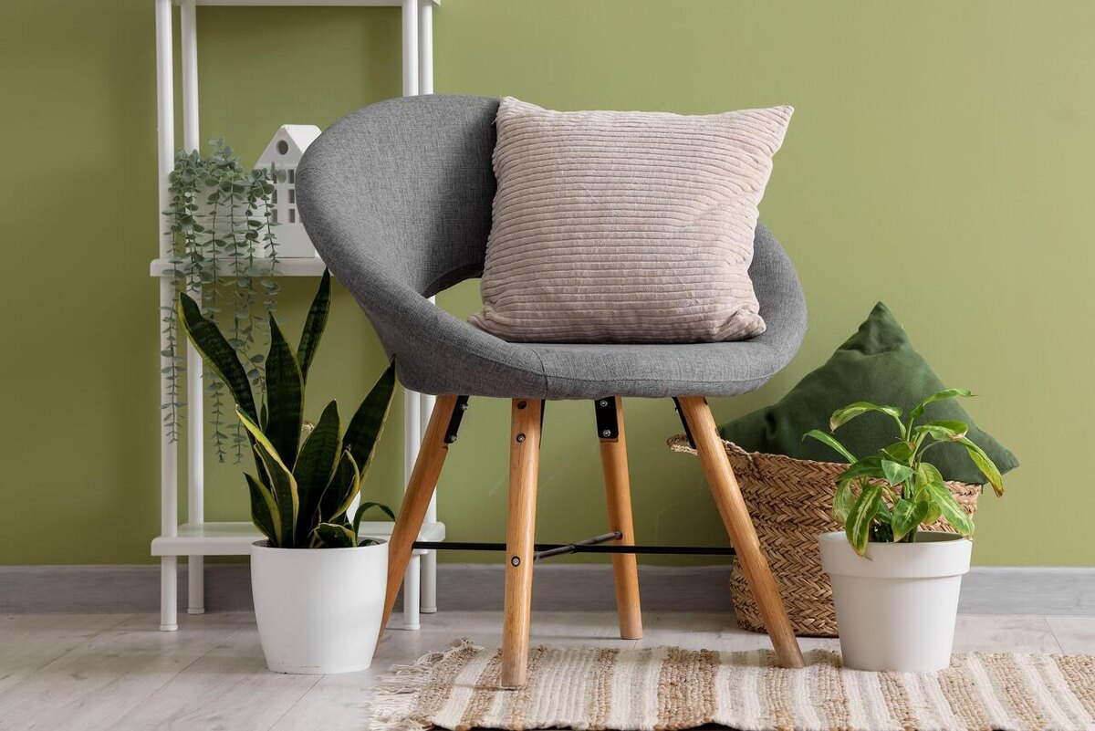    Помогите вашим растениям пережить зиму LEGION-MEDIA