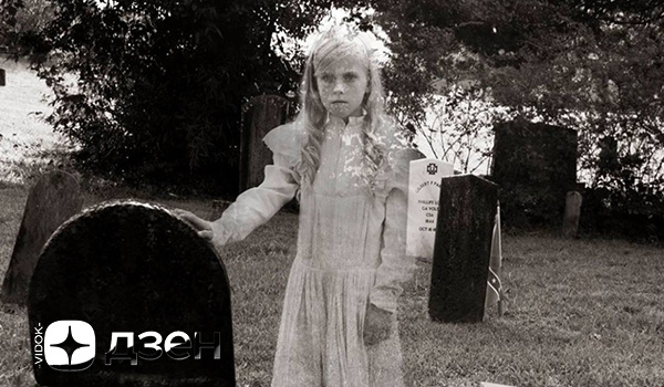  КАНАЛ "VIDOK":YOUTUBE/RUTUBE
